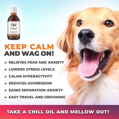 CB2 Hemp Oil for Dogs Extra Strength