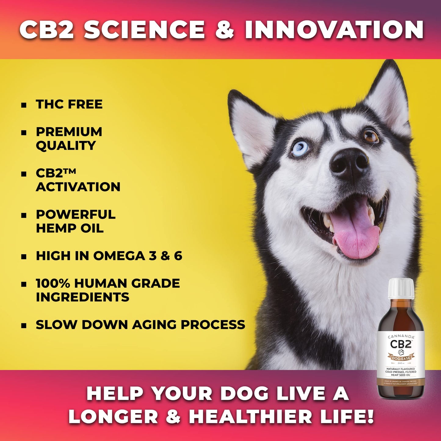 CB2 Hemp Oil for Dogs Extra Strength