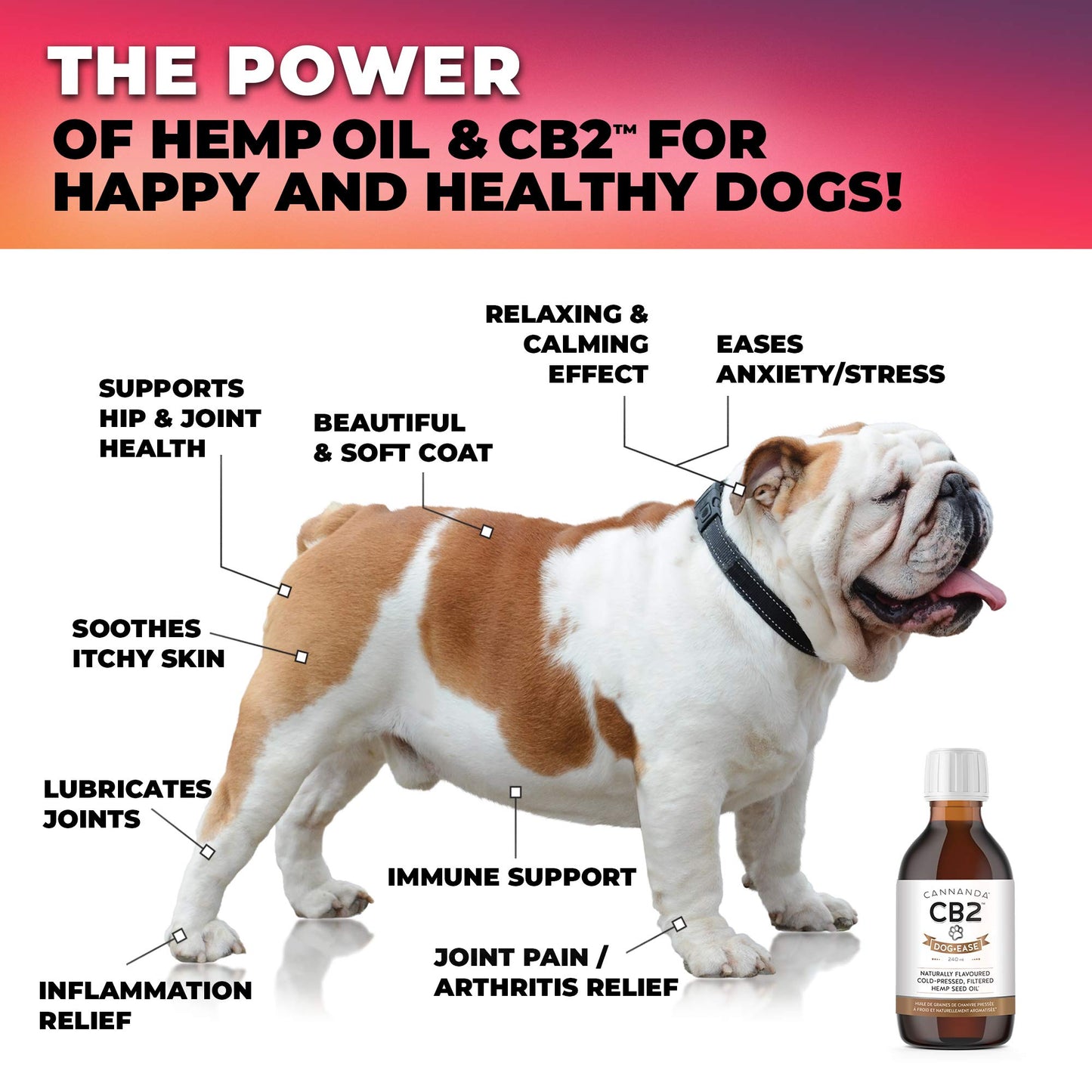 CB2 Hemp Oil for Dogs Extra Strength