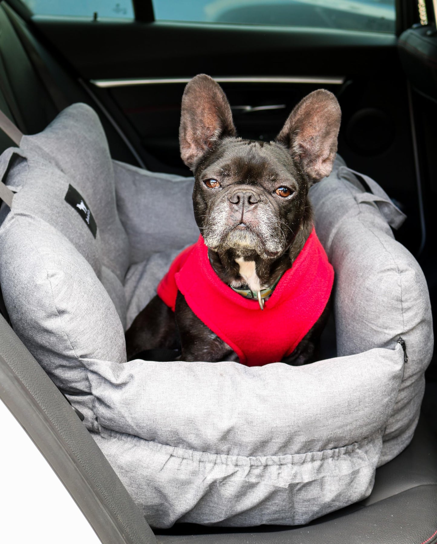 Dog Car Seat & Bed for Small and Medium Dogs