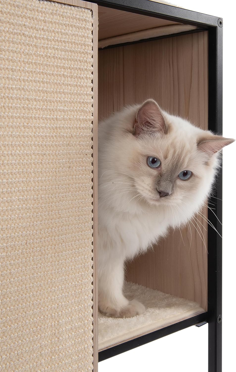 Cat Litter Box Enclosure