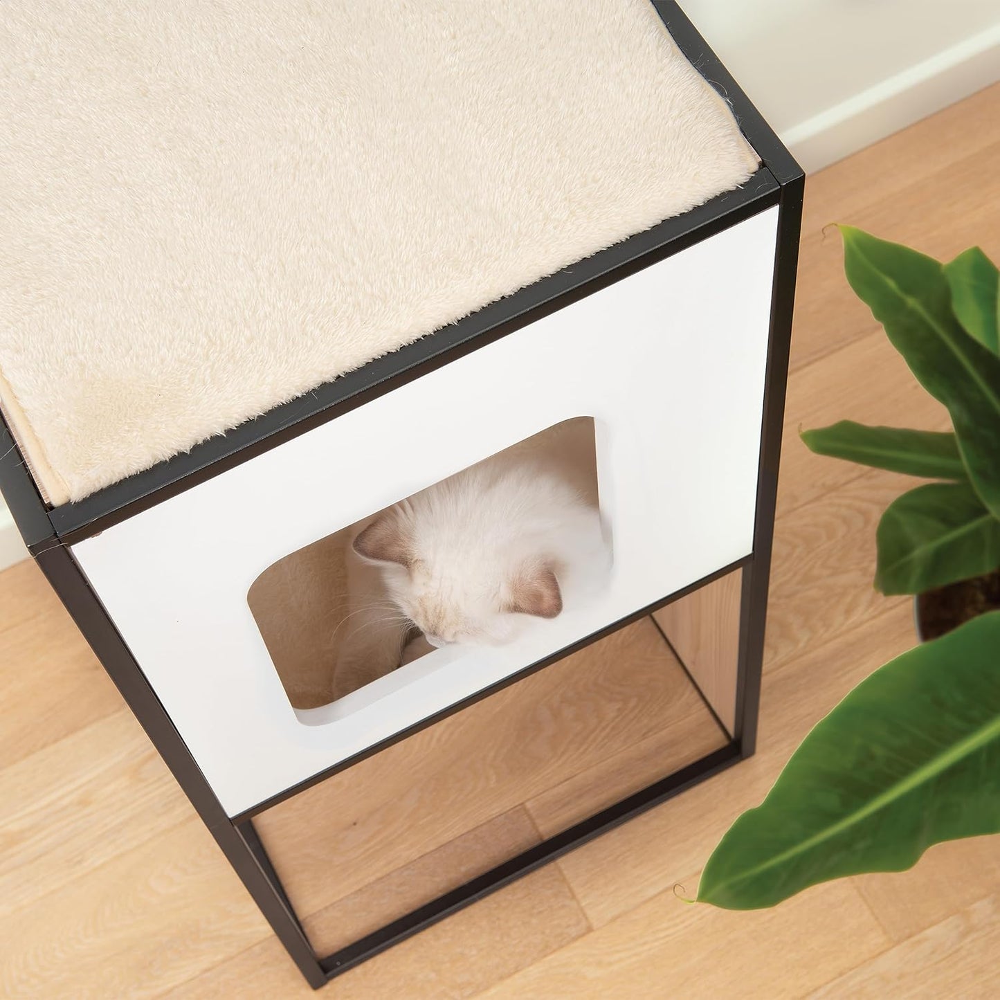 Cat Litter Box Enclosure