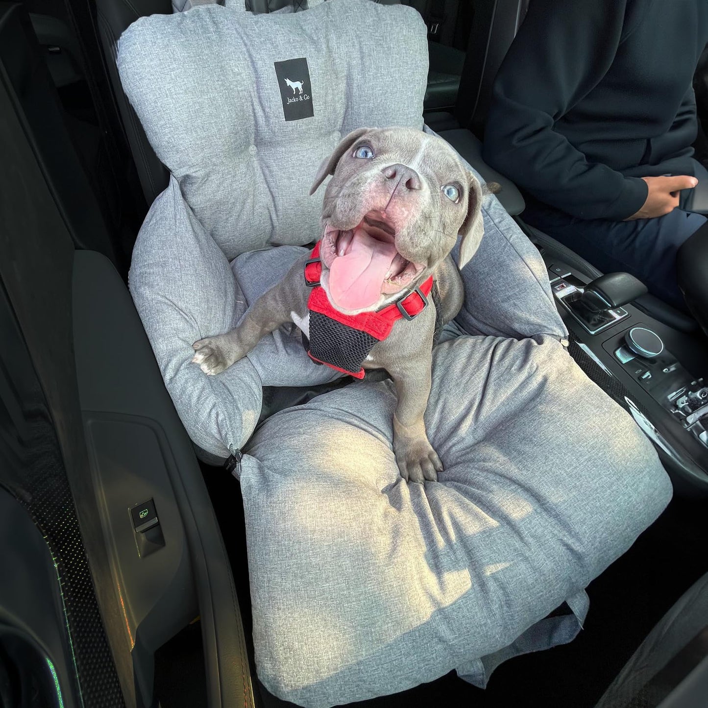 Dog Car Seat & Bed for Small and Medium Dogs