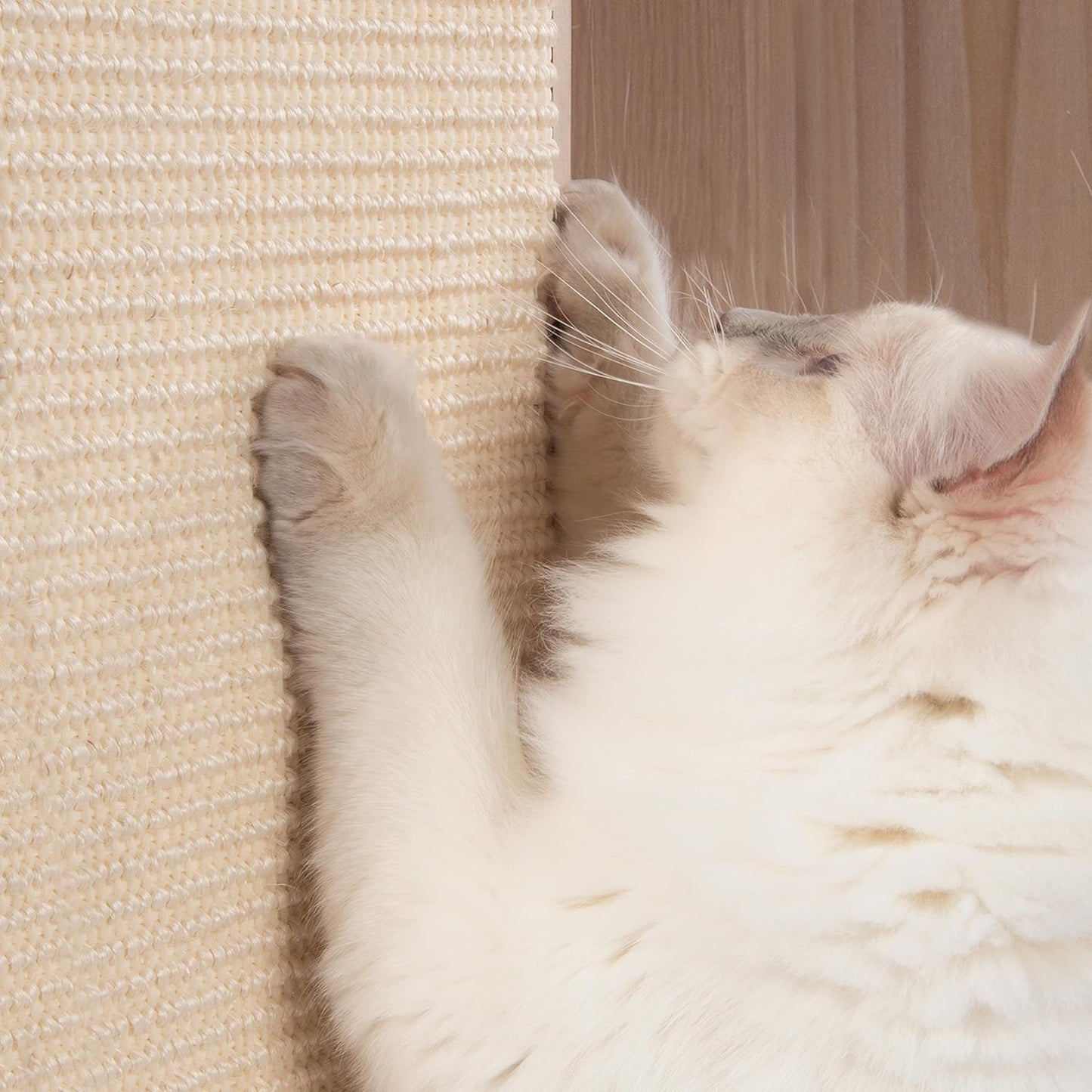 Cat Litter Box Enclosure