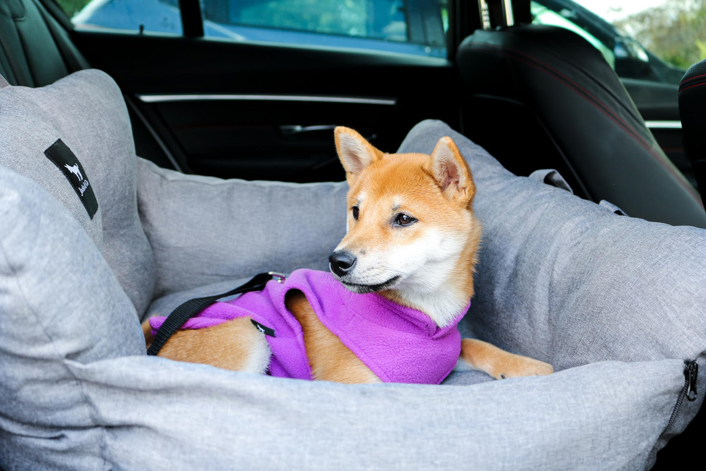 Dog Car Seat & Bed for Small and Medium Dogs