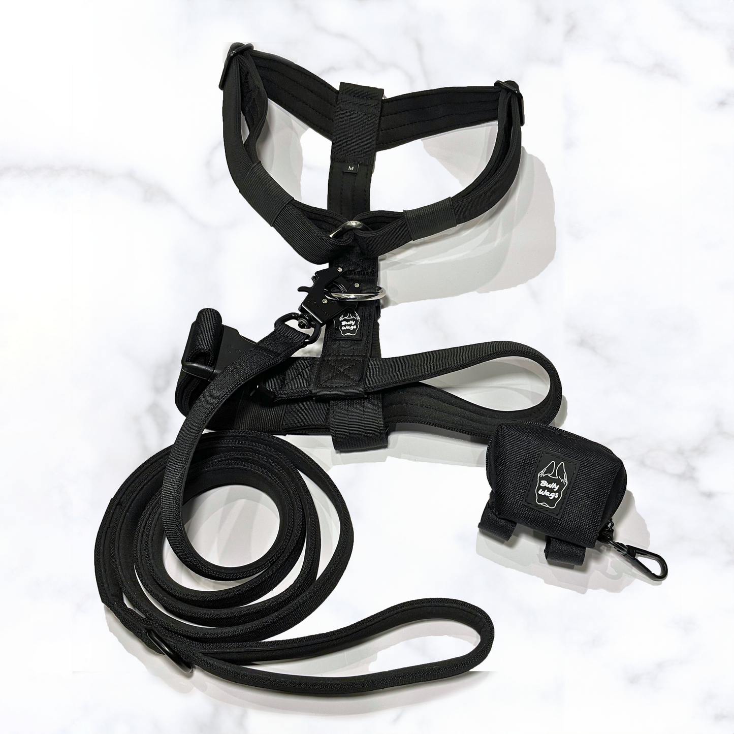 Y-Strap Harness, Leash, & Waste Bag Dispenser Set