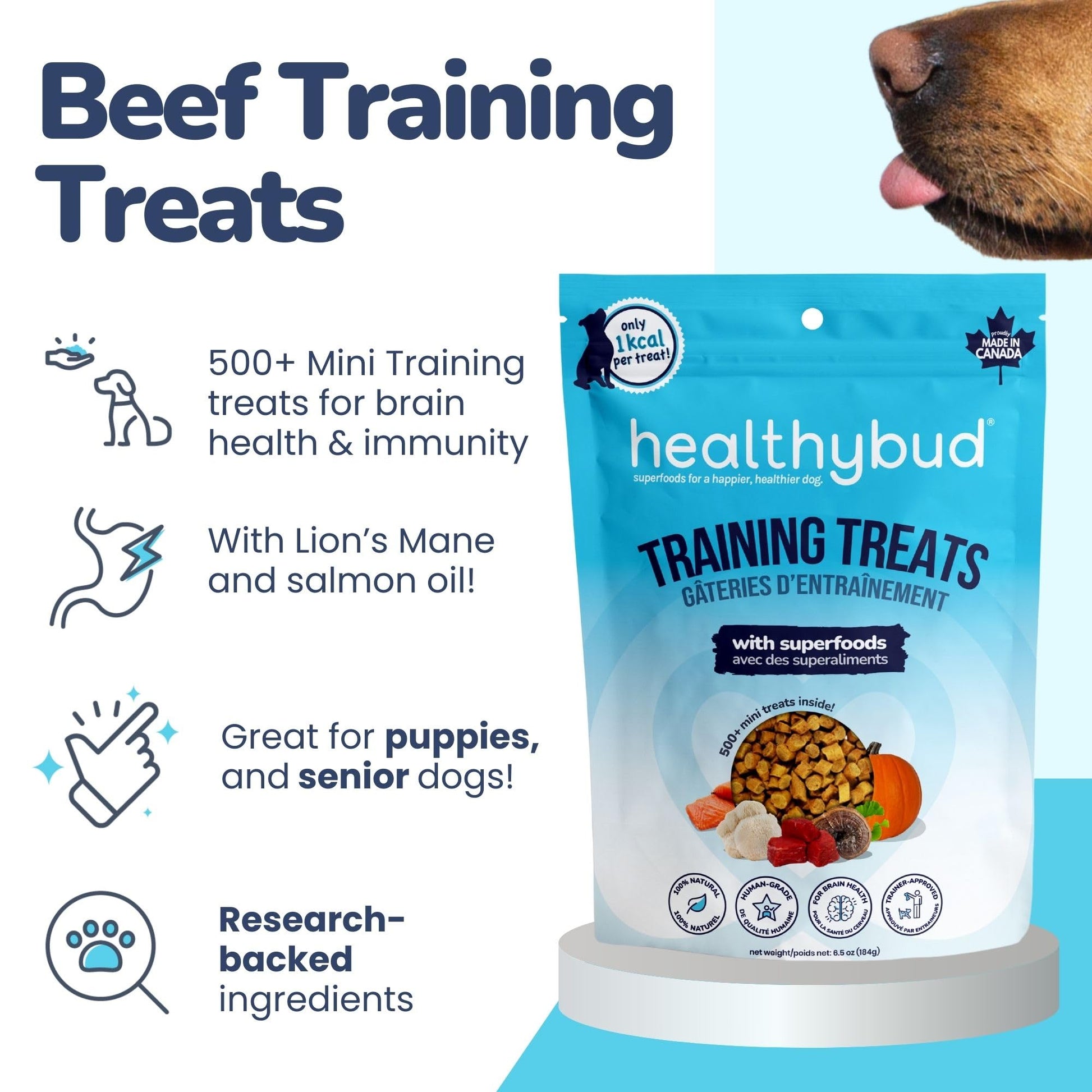 graphic to show the Benefits of feeding Healthybud Training Treats