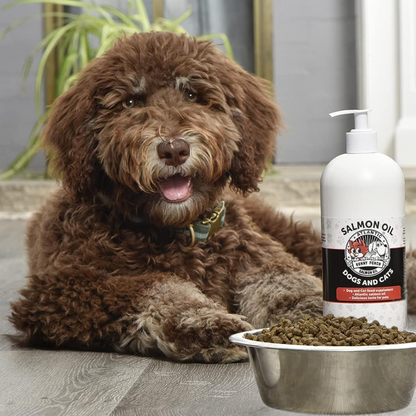 Best_Salmon_Oil_for_Dogs_Floof_Pet_Products