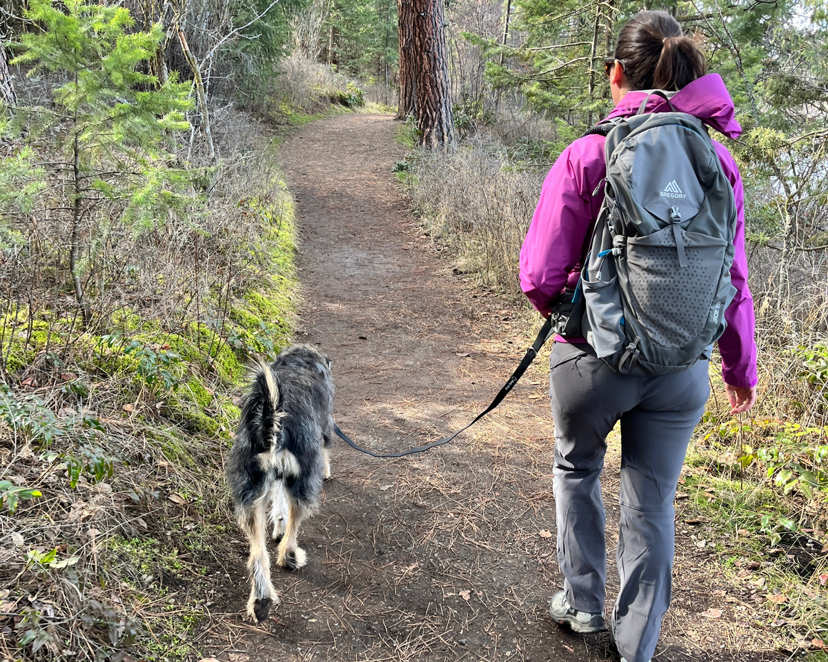 Person hiking with a backpack and dog on a trail in a forest