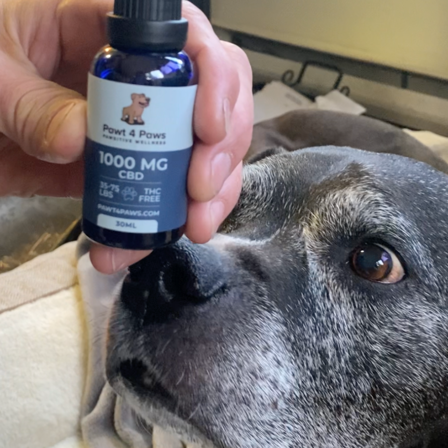 Person holding a bottle of 'Paw 4 Paws' CBD oil next to a dog