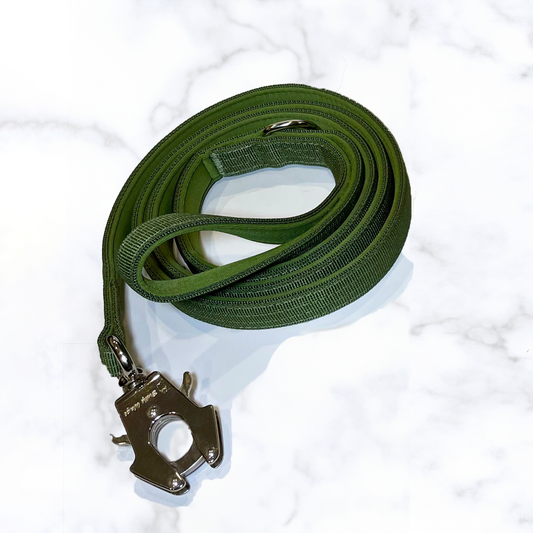 FloofPetProducts-BullyWags-DurableandstrongPetLeash-CactusGreen
