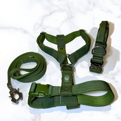 Y-Strap Harness, Leash, & Collar Set dog harness & leash from Floof Pet Products on a neutral background