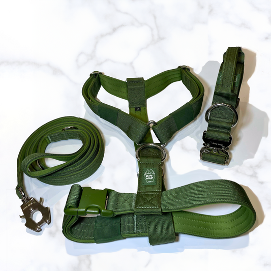Y-Strap Harness, Leash, & Collar Set dog harness & leash from Floof Pet Products on a neutral background