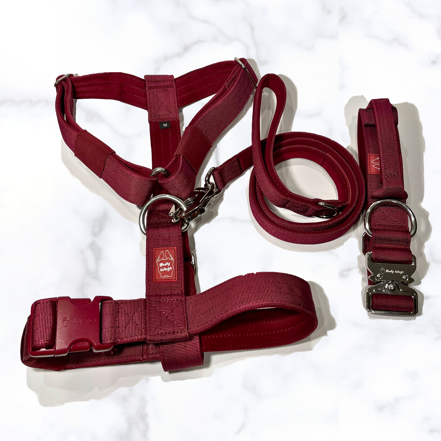 Y-Strap Harness, Leash, & Collar Set