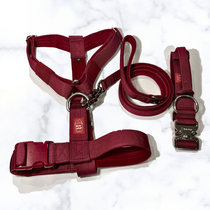 Y-Strap Harness, Leash, & Collar Set dog harness & leash from Floof Pet Products on a neutral background