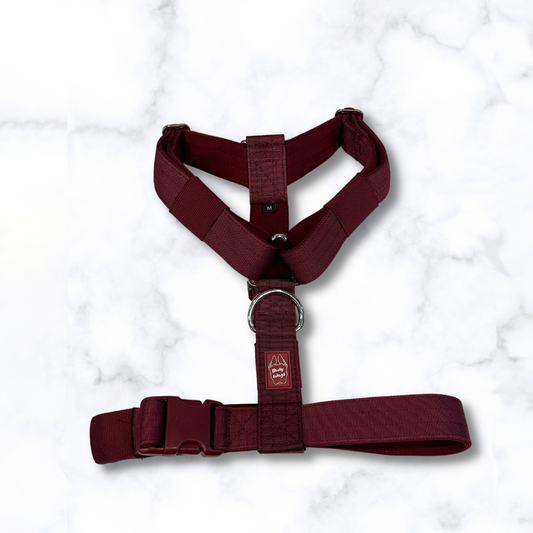 FloofPetProducts-BullyWagsYHarness-Atrainingtoolfordogsthatpull