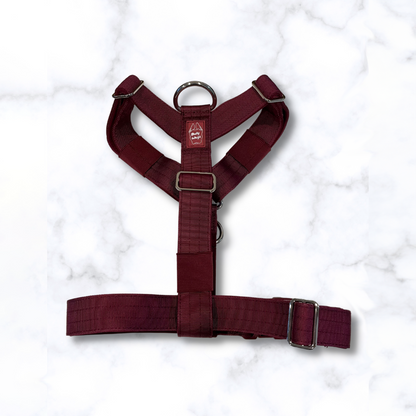 FloofPetProducts-BullyWagsYHarness-ProductImageTop