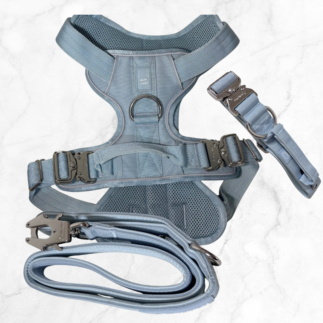 Heavy Duty Harness, Collar, & Leash Set