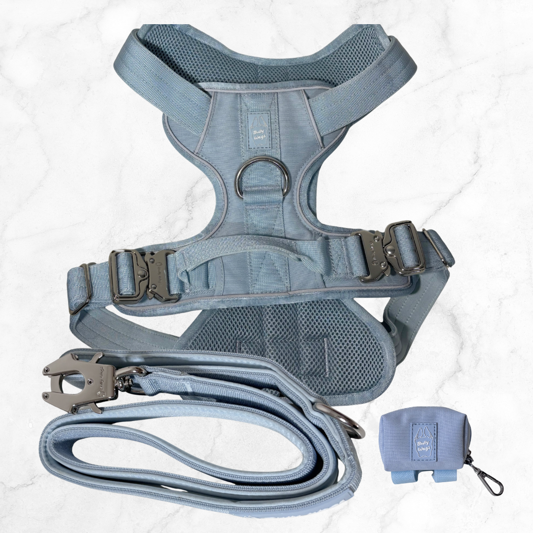 Heavy Duty Harness, Leash, & Waste Bag Dispenser Set