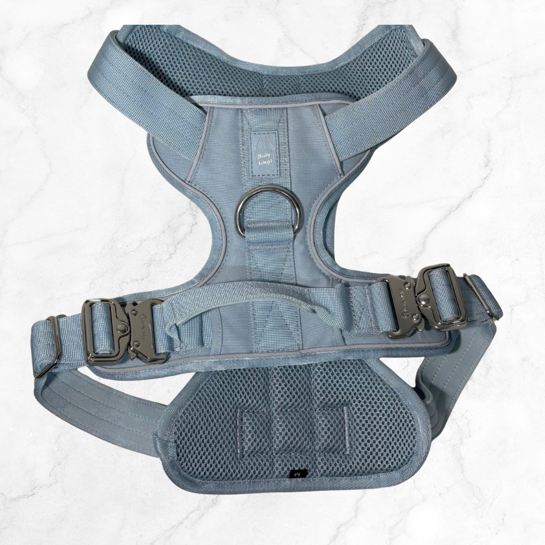 Gray dog harness on a white background