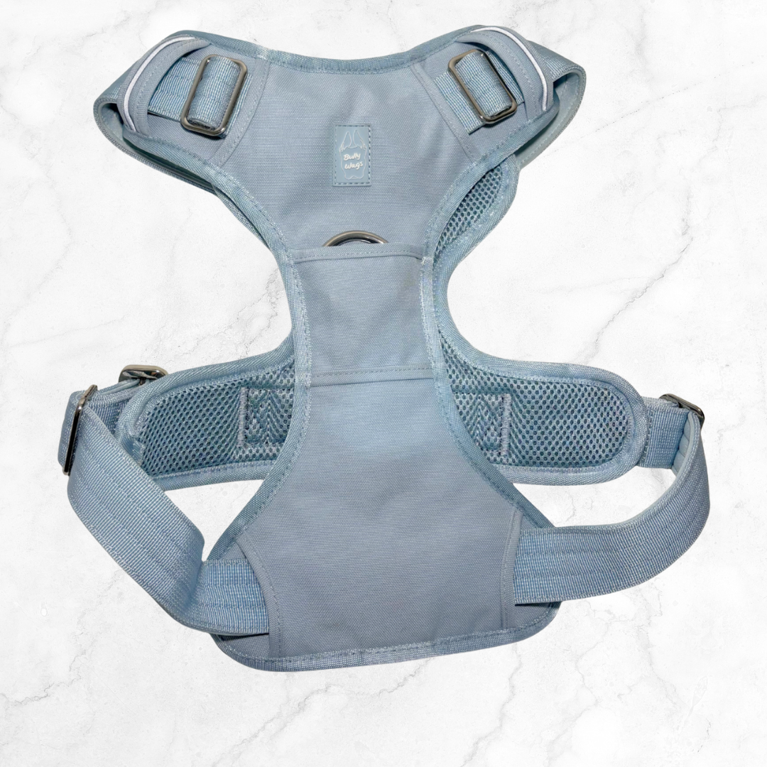 Baby blue dog harness on a white background