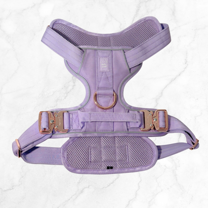 Lavender dog harness with gold hardware on a white background