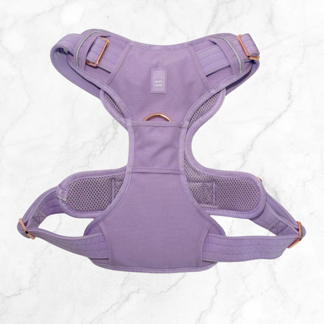 Purple baby carrier on a white background