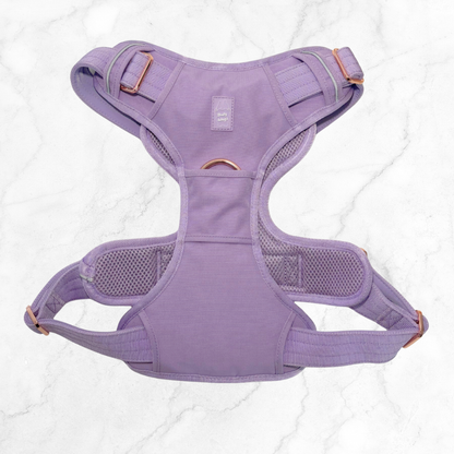 Purple baby carrier on a white background