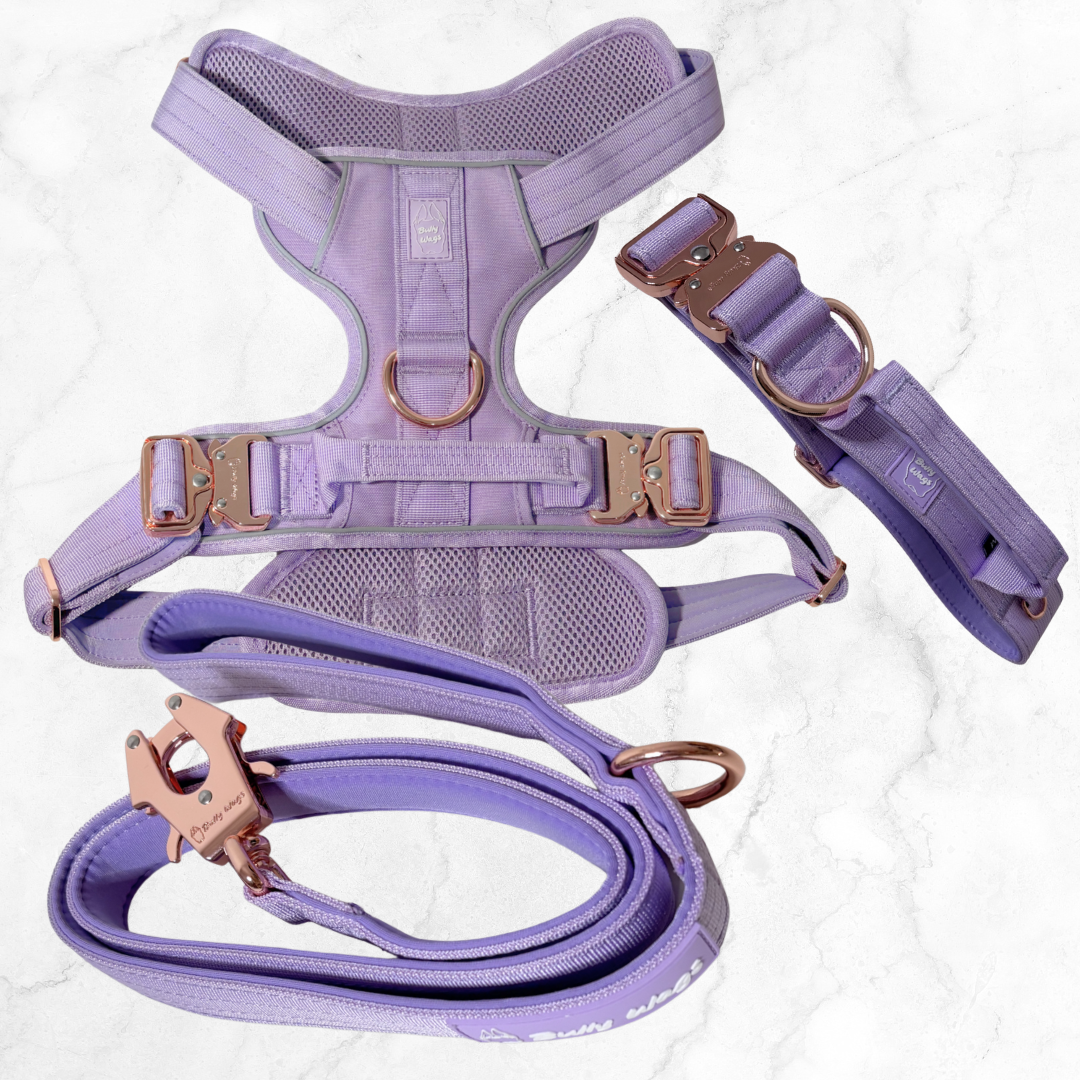 Heavy Duty Harness, Collar, & Leash Set