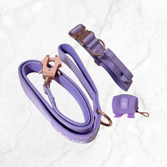 Tactical Collar with Handle, Leash, & Waste Bag Dispenser Set