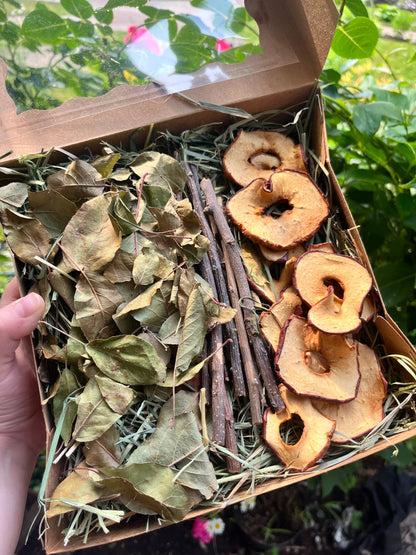 Box of dried apple leaves and apples with apple branches on timothy hay.