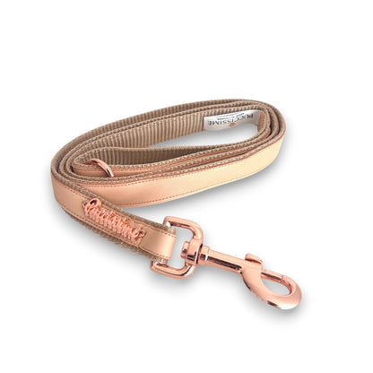 Rose gold dog leash with rose gold clasp on a white background