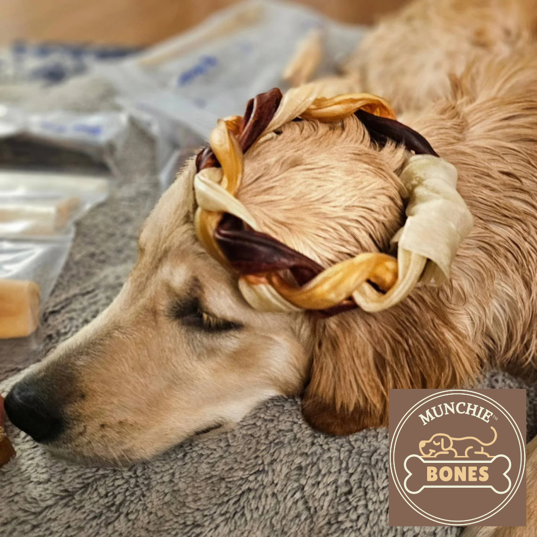 Dog with a bandana made of dog treats on its head, with 'Munchie Bones' logo.