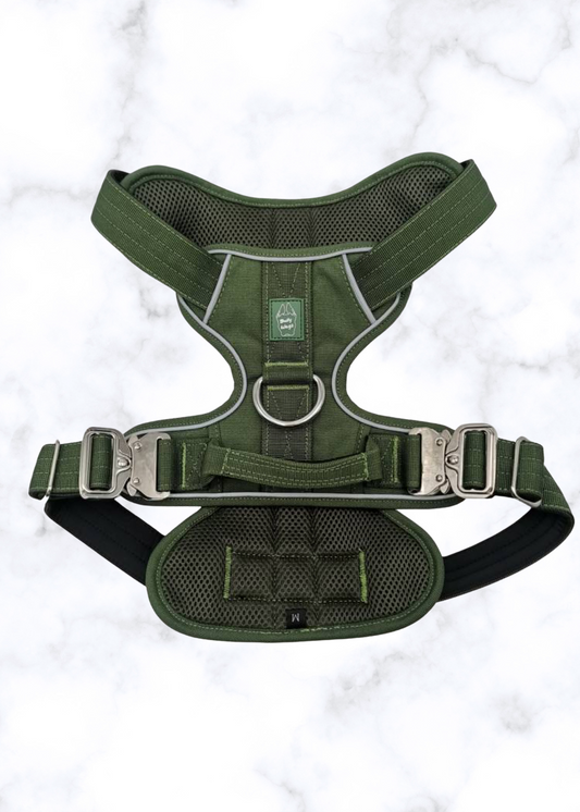 Heavy-Duty Everyday Harness - Cactus Green pet collars & harnesses from Floof Pet Products on a neutral background
