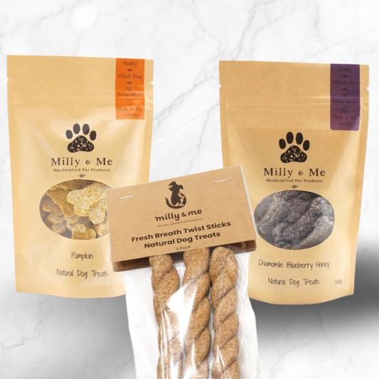 Digestive health dog treats with chamomile, pumpkin, and blueberry