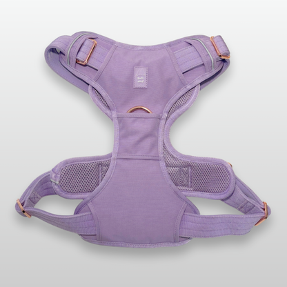 Heavy-Duty Everyday Harness - Lilac pet collars & harnesses from Floof Pet Products on a neutral background