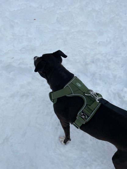 Heavy-Duty Everyday Harness - Cactus Green pet collars & harnesses from Floof Pet Products on a neutral background