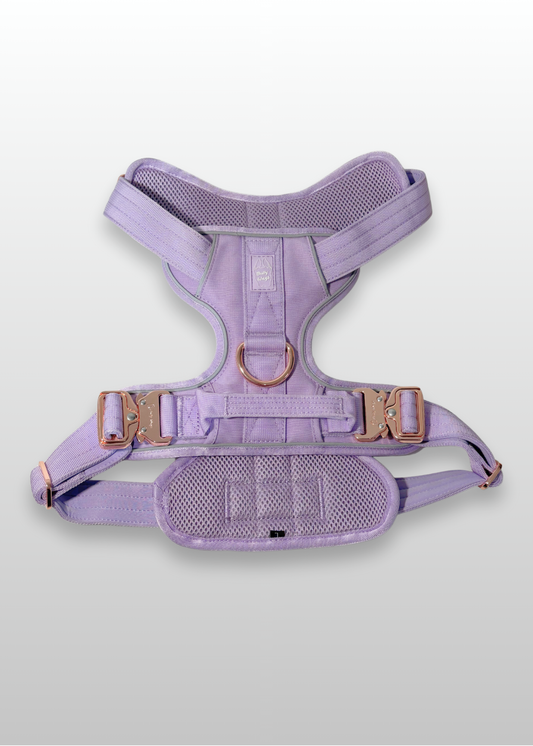 Heavy-Duty Everyday Harness - Lilac pet collars & harnesses from Floof Pet Products on a neutral background