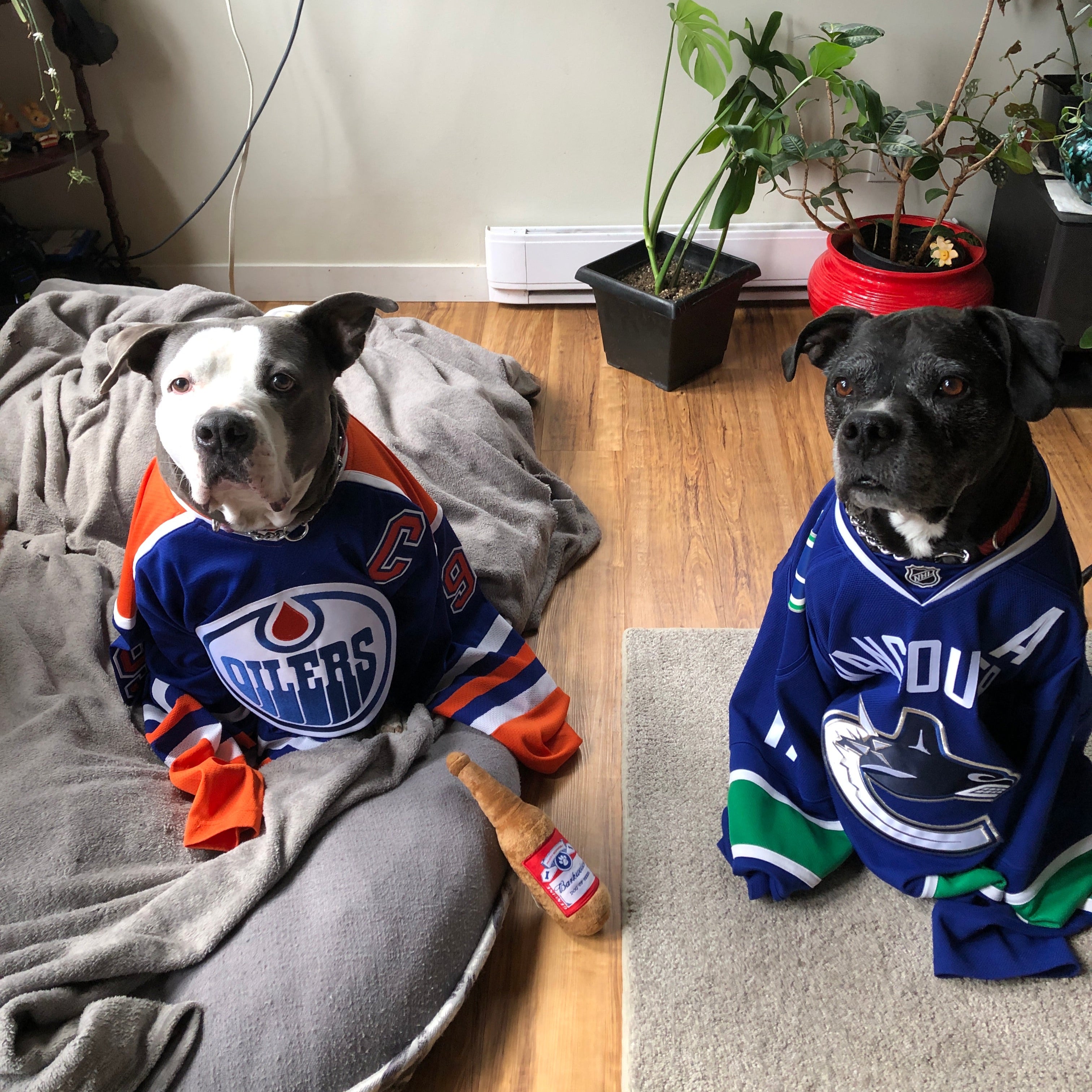 Luna and King wearing an Edmonton Oilers jersey and Vancouver Canucks hockey jersey