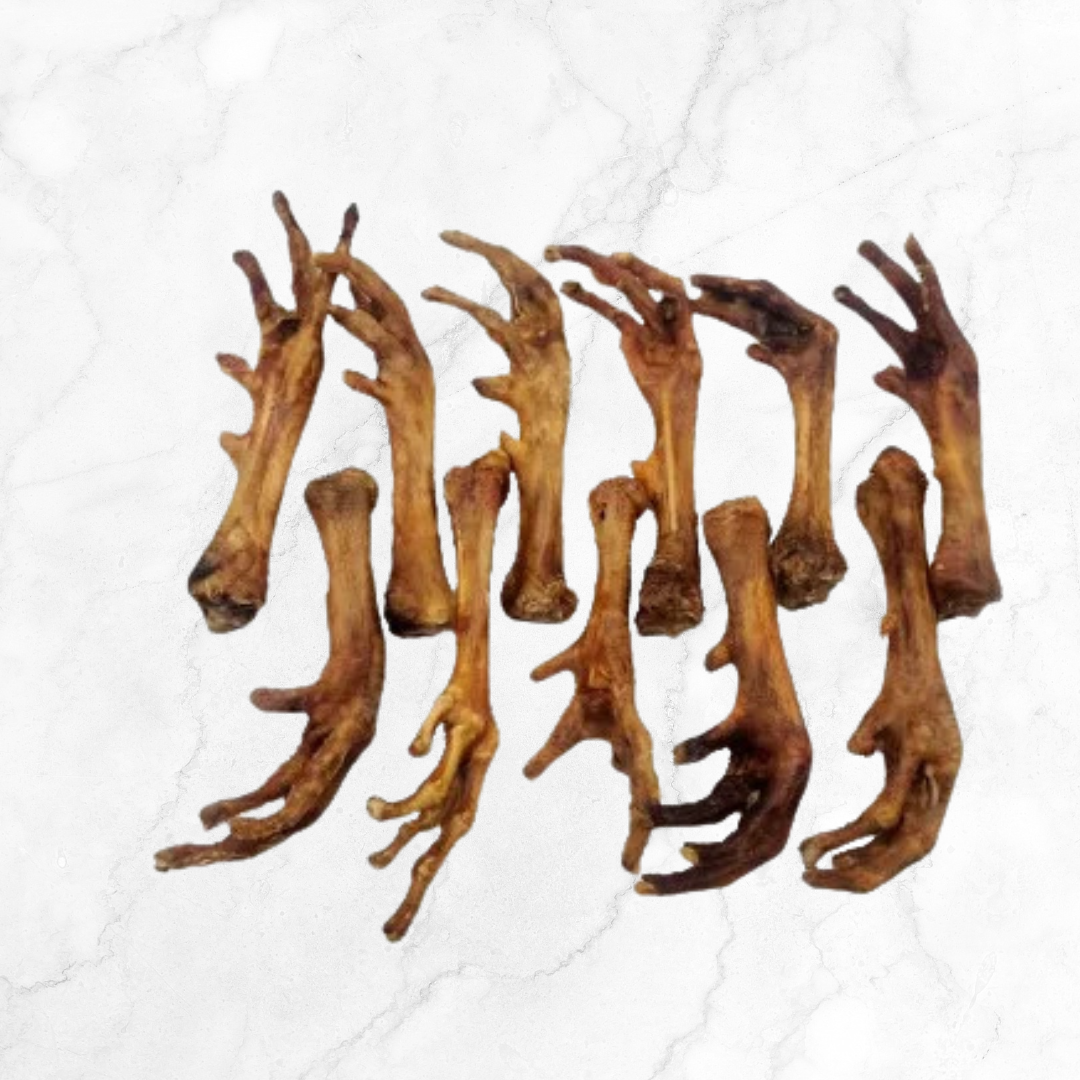 Set of dried chicken feet on a textured white background