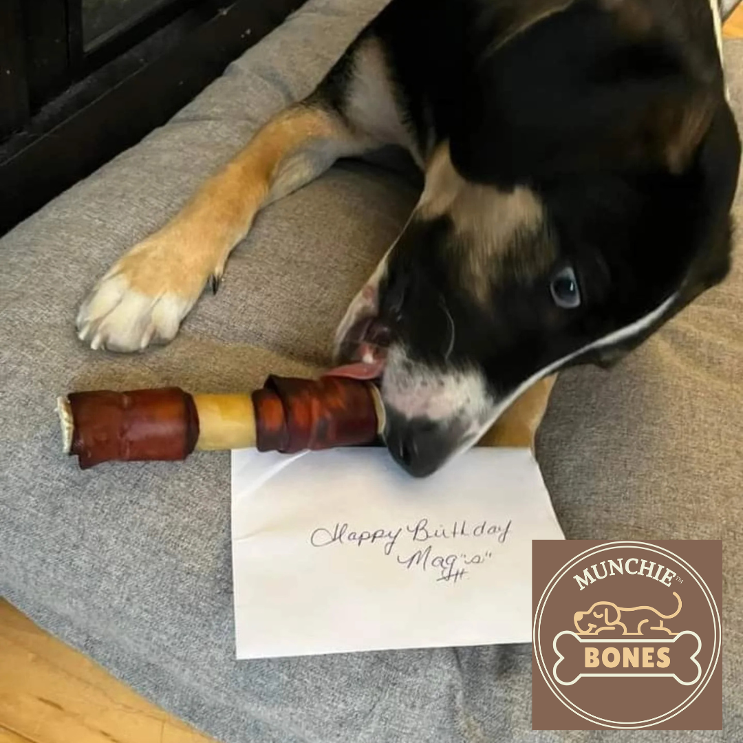 Dog chewing on a Munchie Bones product with a birthday card and 'Munchie Bones' logo in the corner.