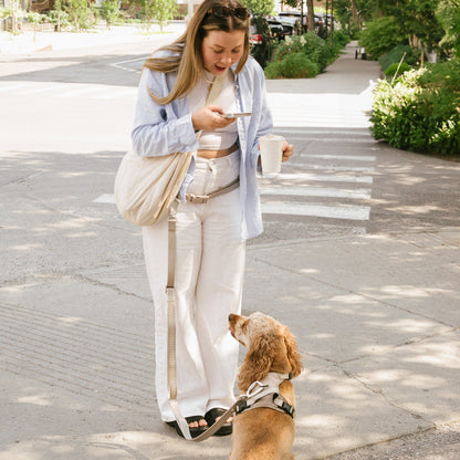 Woman taking a photo of her dog in the street wearing the hands free dog leash