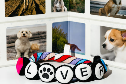 Eco-Friendly Lover Friendship Bracelet - Rope Dog Toy