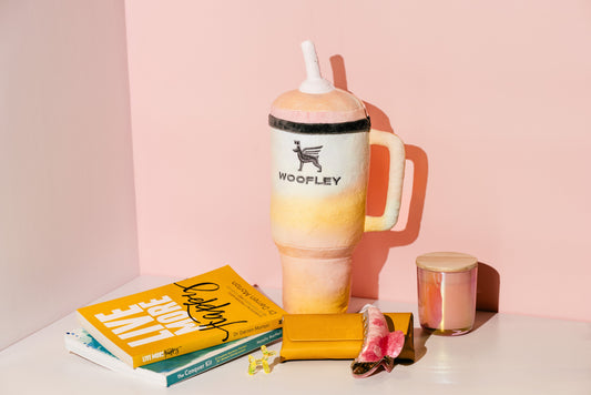 Colorful mug with 'Woofley' branding on a table with books and a candle.
