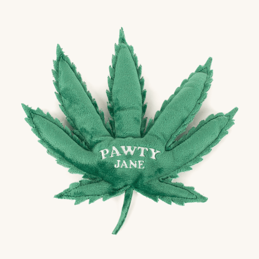 Green leaf-shaped toy with 'PAWTY JANE' text on a white background