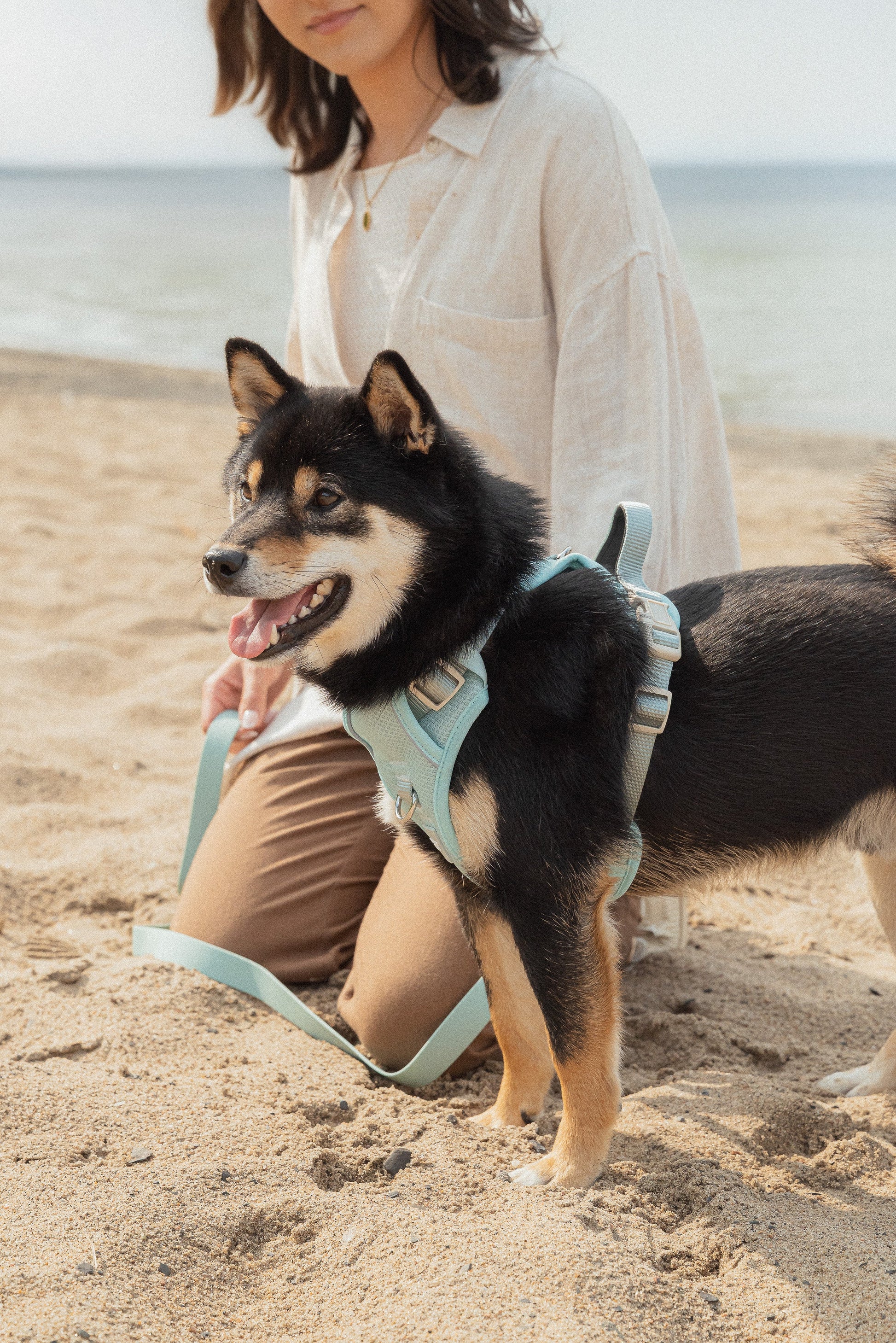 Classic 2.0 Harness Breeze dog harness on a small dog with a woman on the beach