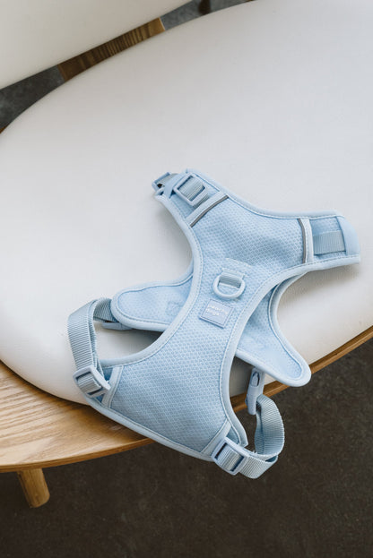 Light blue dog harness on a white cushioned chair