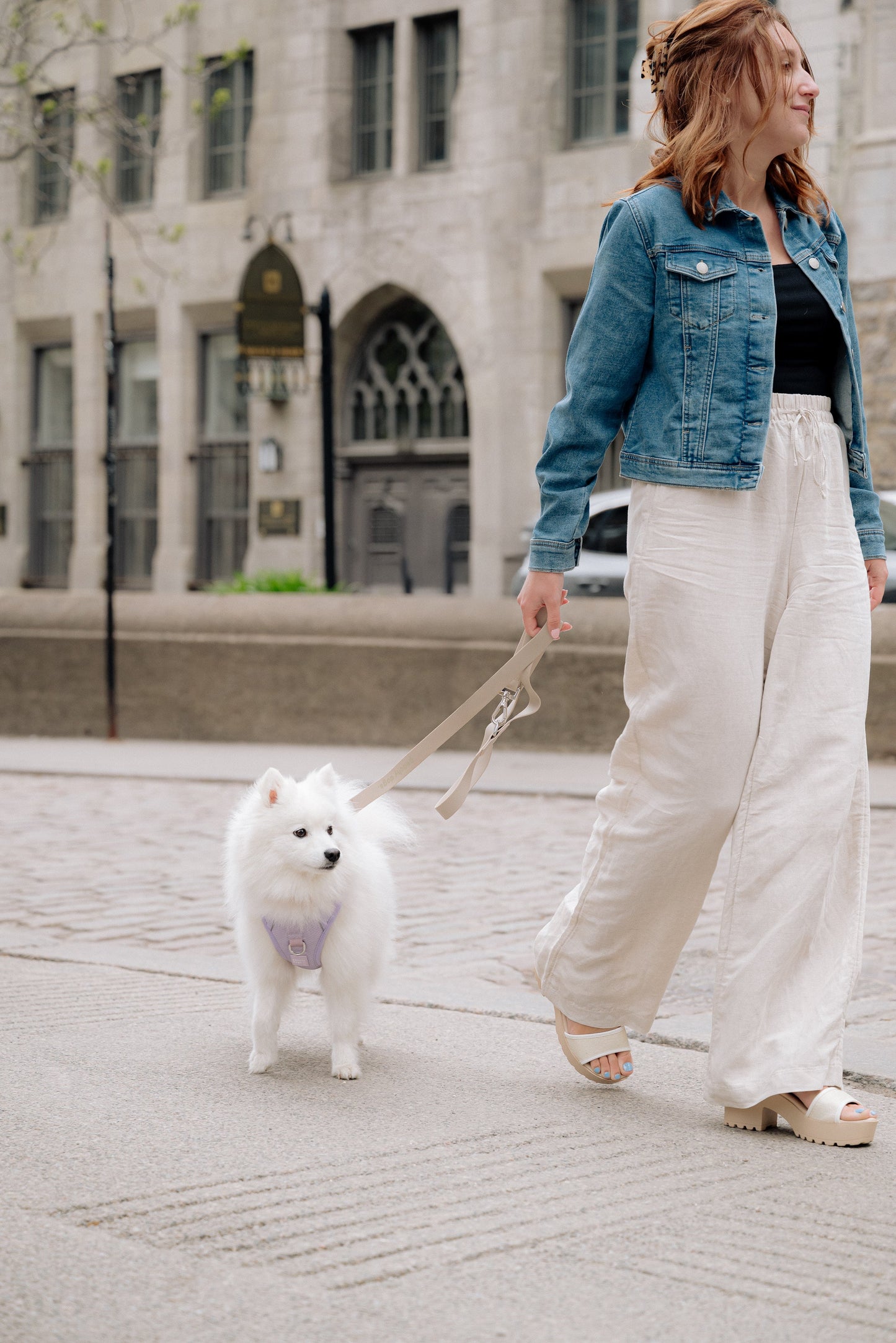 Woman walking a small white dog on a leash in an urban setting