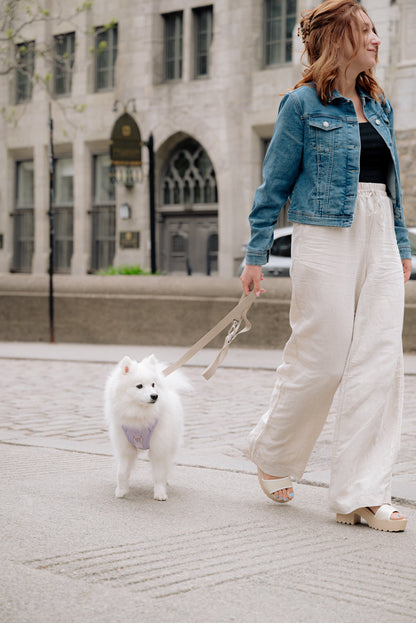 Woman walking a small white dog on a leash in an urban setting