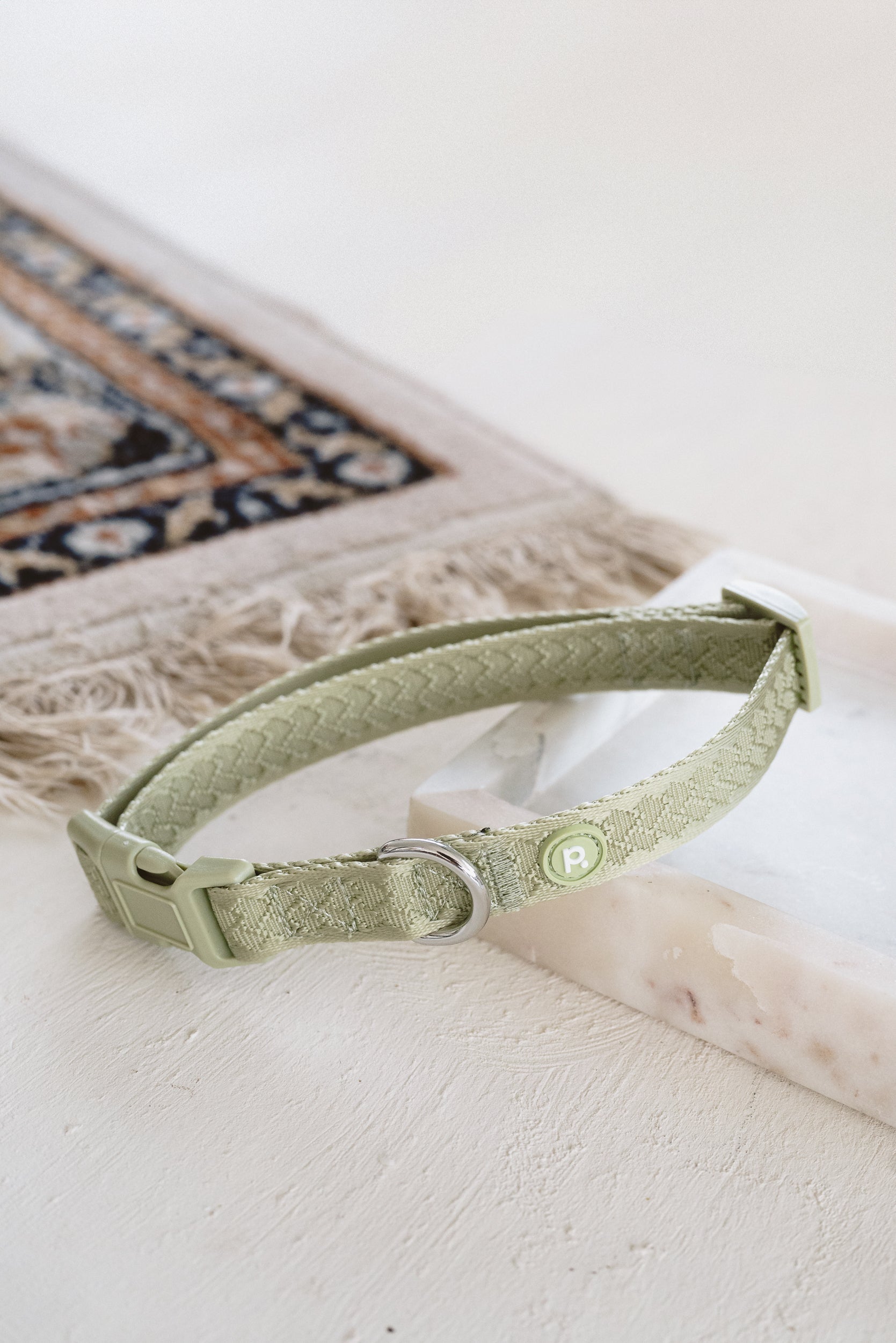 Daily Collar - Matcha dog collar from Floof Pet Products on a neutral background